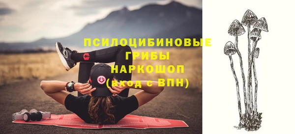 дурь Волоколамск