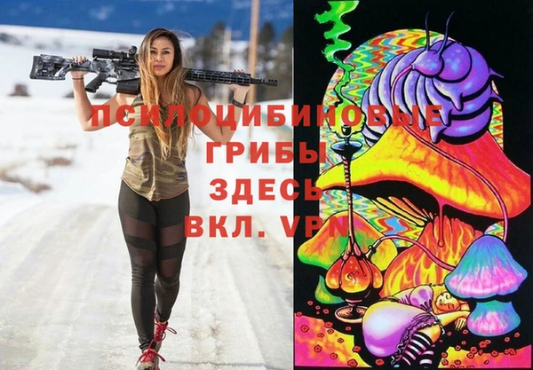дурь Волоколамск