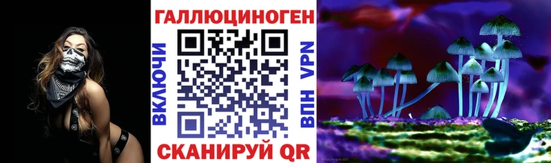 как найти наркотики  Дубна  Галлюциногенные грибы Magic Shrooms 