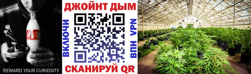 мега ТОР  Дубна  МАРИХУАНА сатива 